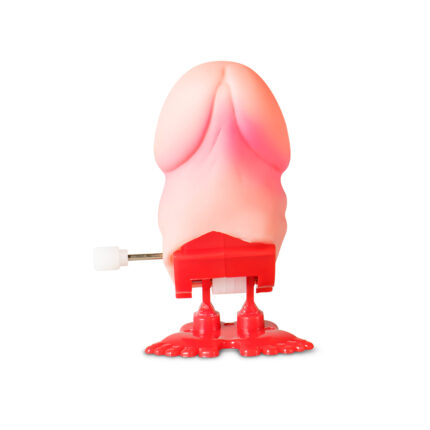 Opwindbaar Lopend Eikel Speeltje